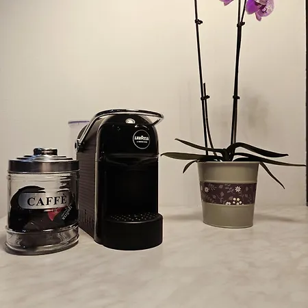 Ca Bizantina 아파트
